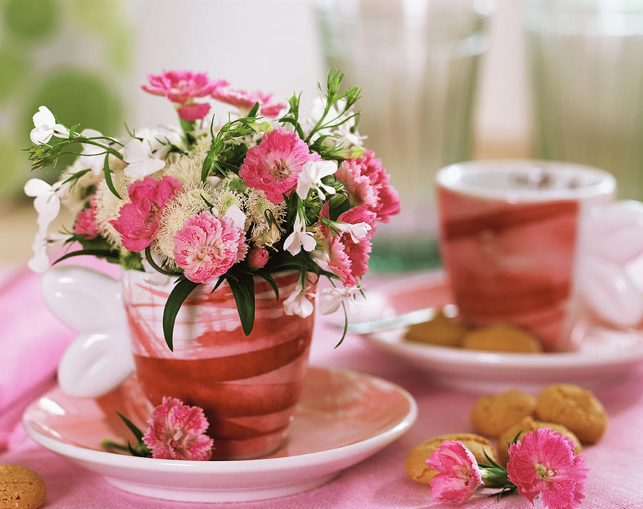 Small Arrangement Of Carnations And Lobelia In Coffee Cup Photograph by Strauss, Friedrich