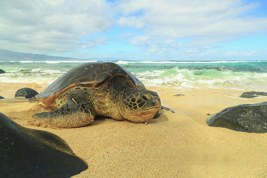 Beach Photograph - Small Beach In Makena Area, Maui by Stuart Westmorland Beach Photograph - Small Beach In Makena Area, Maui by Stuart Westmorland