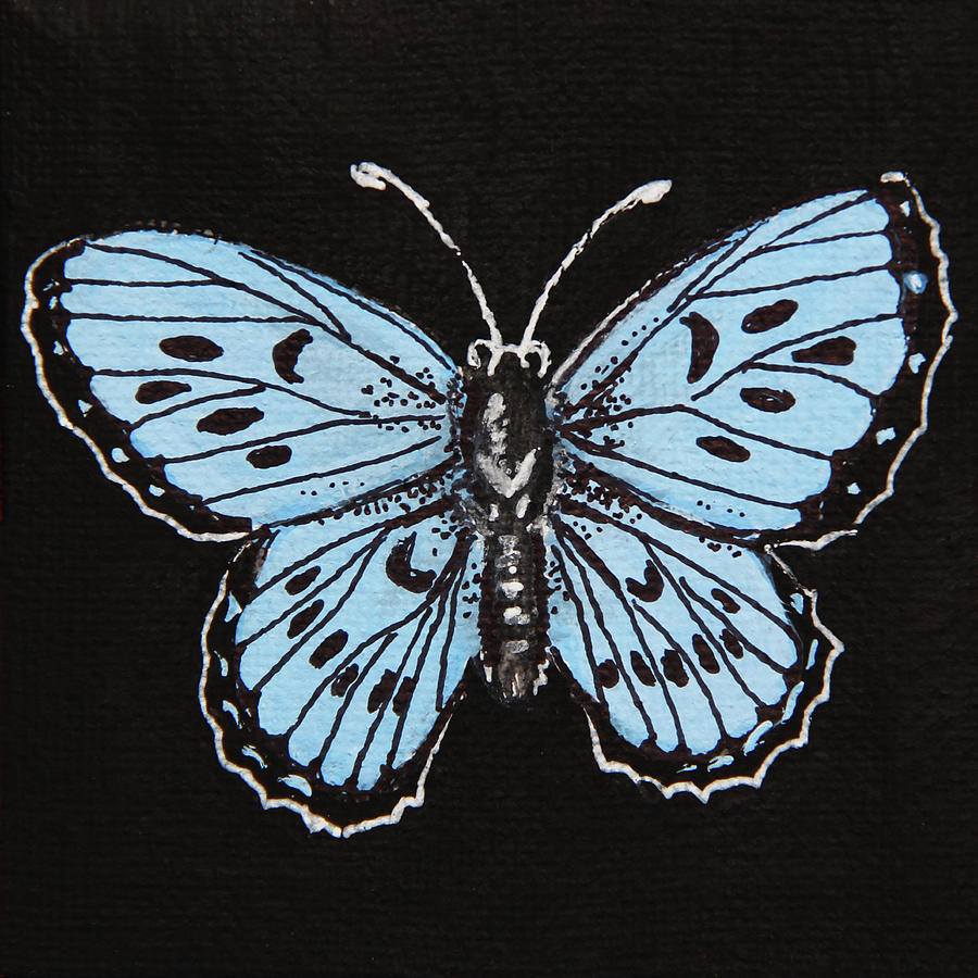 Butterfly Painting - Small Blue Butterfly by Masha Batkova
