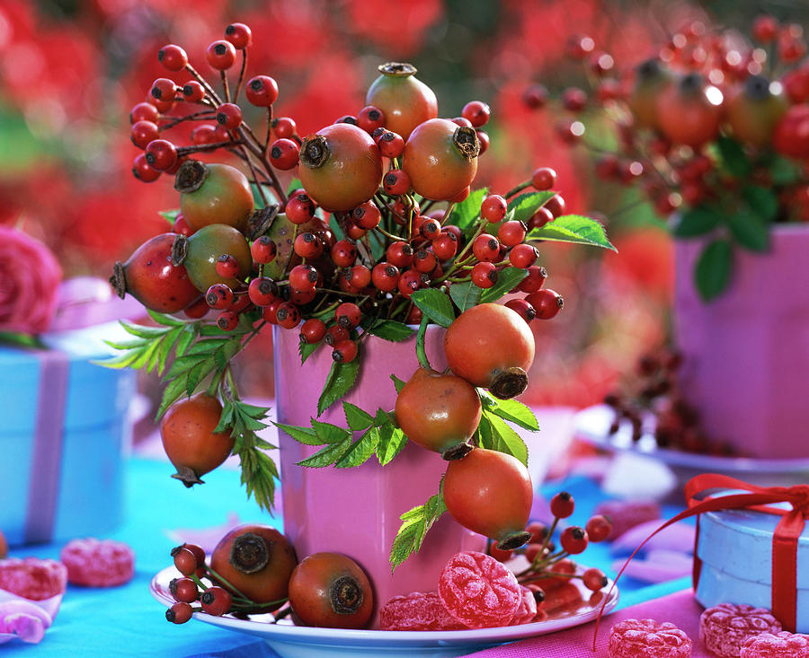 Small Bouquet With Berries And Fruits Photograph by Friedrich Strauss