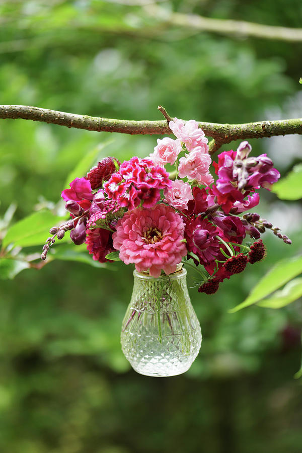 Small Bouquet With Zinnia, Carnation, Snapdragons, And Florets In A Hanging Glass Vase Photograph by Angelica Linnhoff