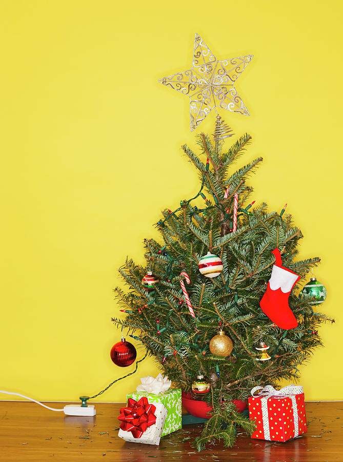 Small Christmas Tree Against Yellow Photograph by Tetra Images Small Christmas Tree Against Yellow Photograph by Tetra Images