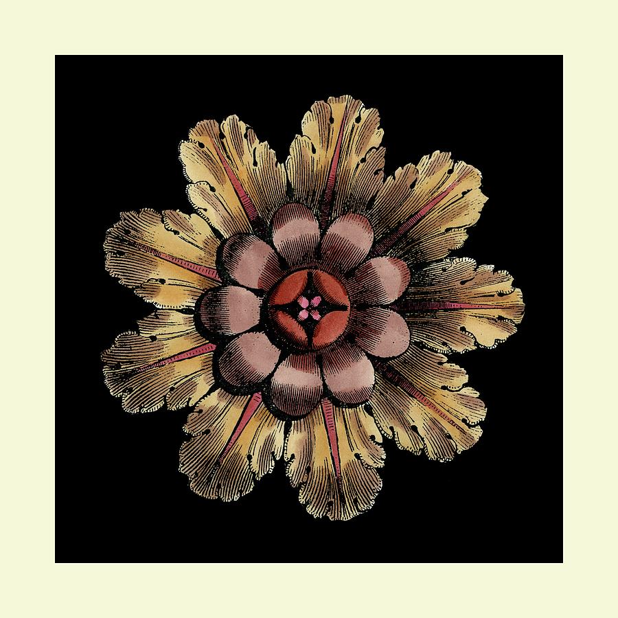 Flower Painting - Small Classic Rosette II by Vision Studio
