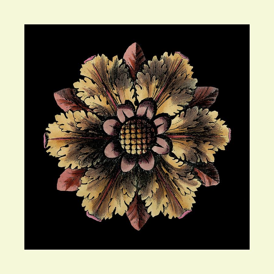 Flower Painting - Small Classic Rosette Vi by Vision Studio