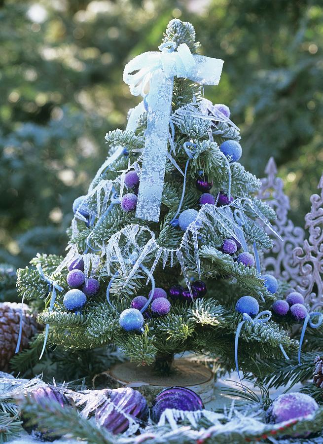 Small Decorated Christmas Tree With Hoar Frost Photograph by Friedrich Strauss