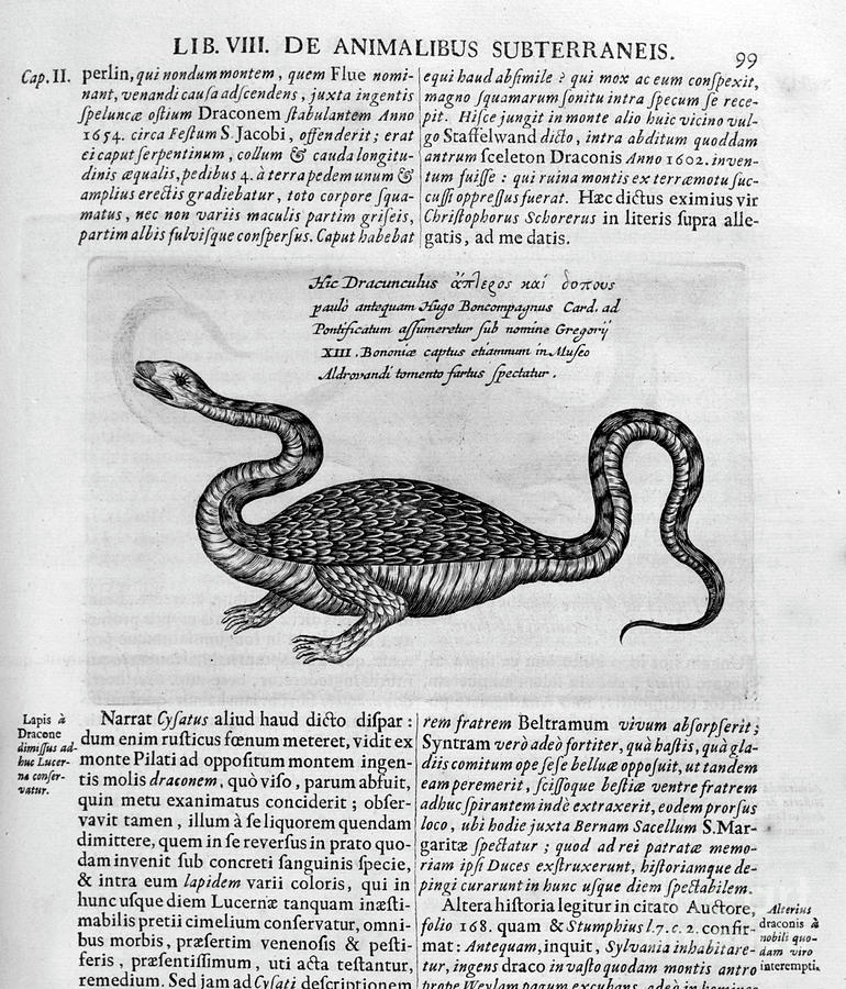 Small Dragon, 1678. Artist Athanasius Drawing by Print Collector