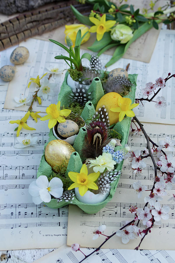 Small Easter Decoration In An Egg Carton With Daffodil Flowers, Grape Hyacinth, Easter Eggs And Feathers Photograph by Angelica Linnhoff
