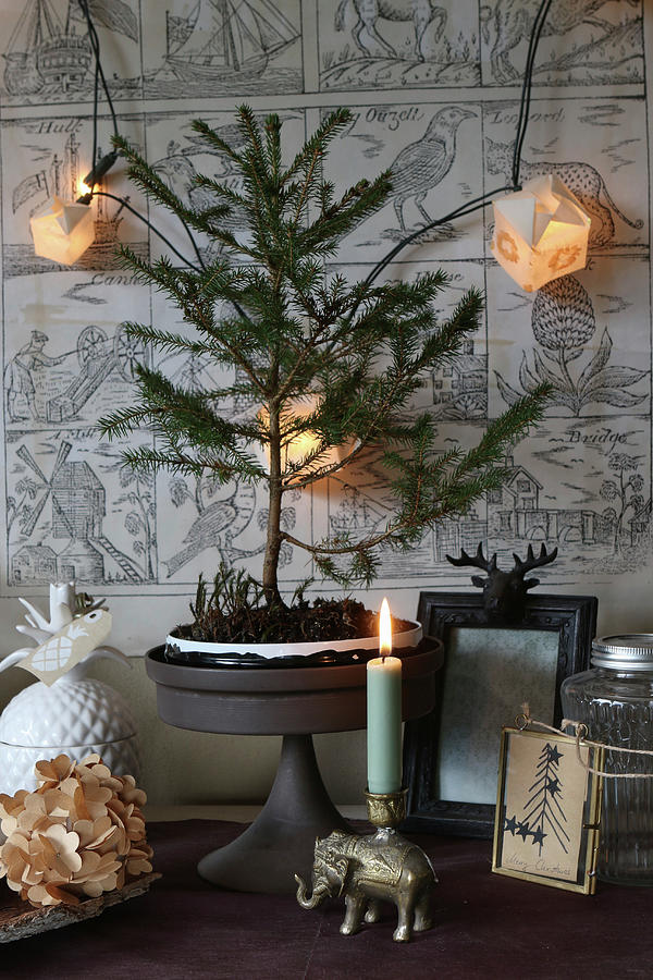 Small Fir Tree On Cake Stand Amongst Festive Decorations Photograph by Regina Hippel