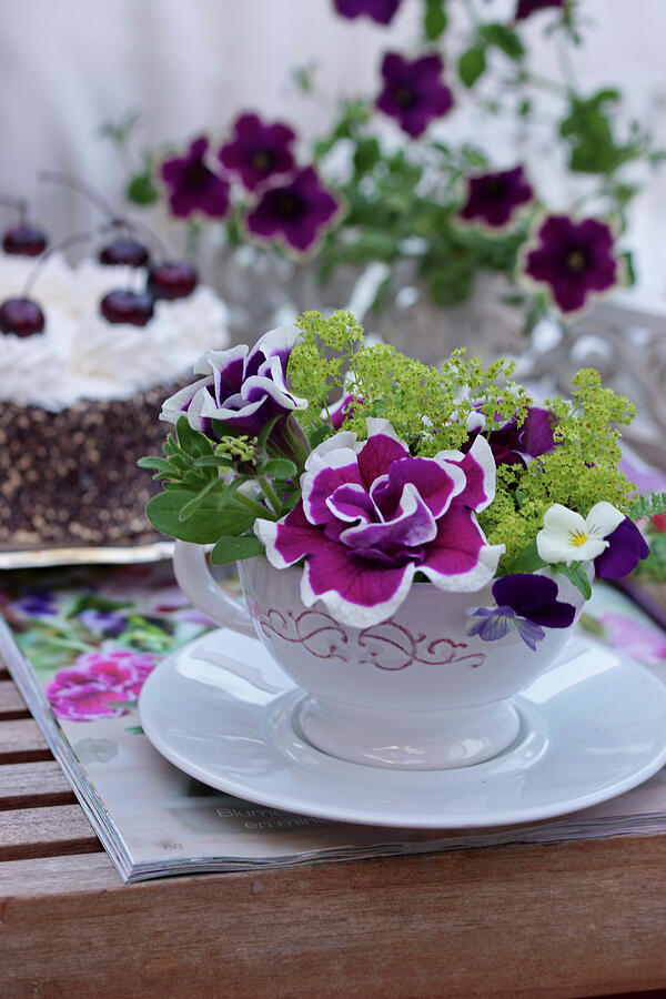 Flower Photograph - Small Flower Arrangement Of Petunia, Horned Violet And Ladys Mantle In A Tea Cup by Angelica Linnhoff