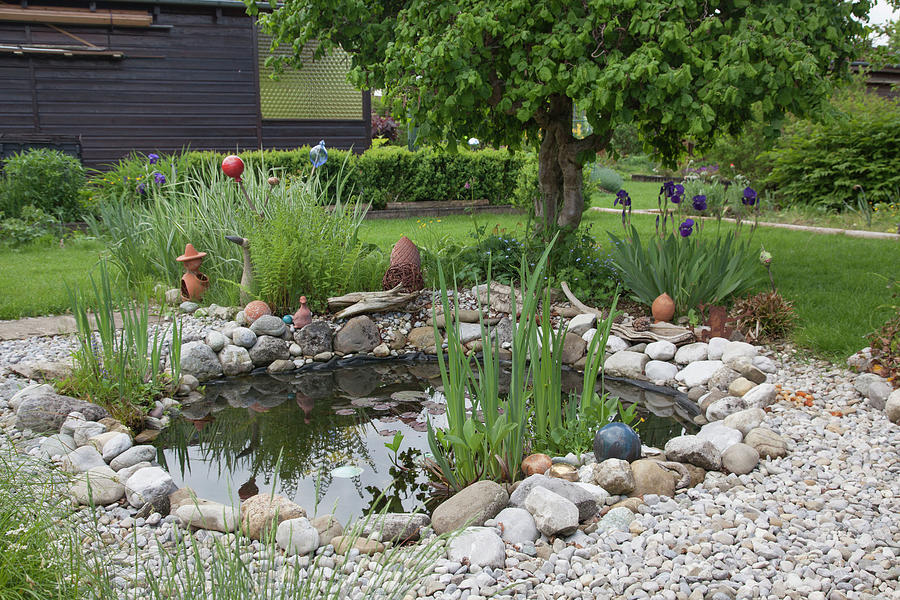 Small Foil Pond With Natural Stones Bordered In The Garden Photograph by Karlheinz Steinberger