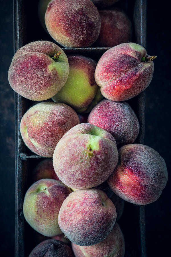 Small Franconian Peaches Photograph by Elisabeth Von Plnitz-eisfeld