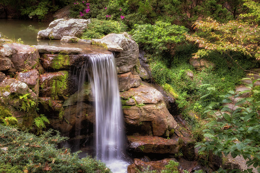 Small Garden Waterfall Photograph by James Barber