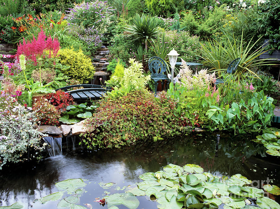 Small Garden With Pond Photograph by Geoff Kidd/science Photo Library ...