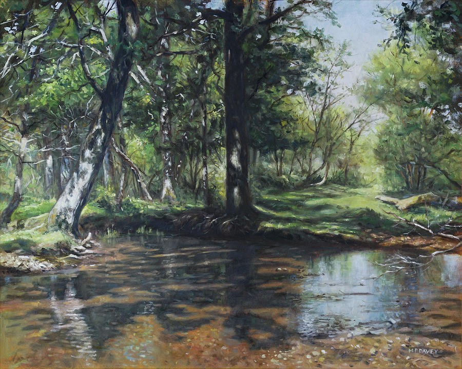 Small New Forest stream in summer by Martin Davey Small New Forest stream in summer by Martin Davey