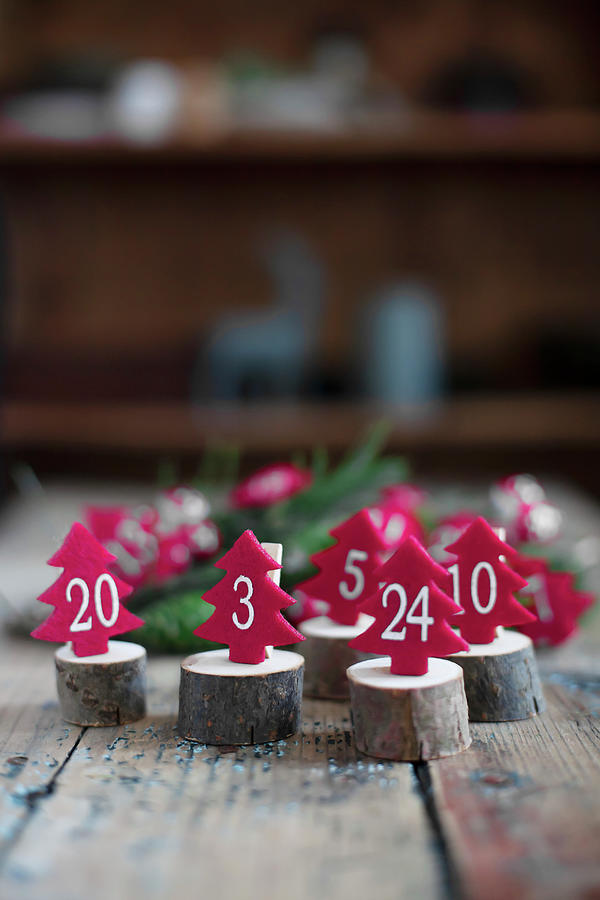 Small, Numbered, Felt Trees Arranged On Wooden Discs Photograph by Alicja Koll