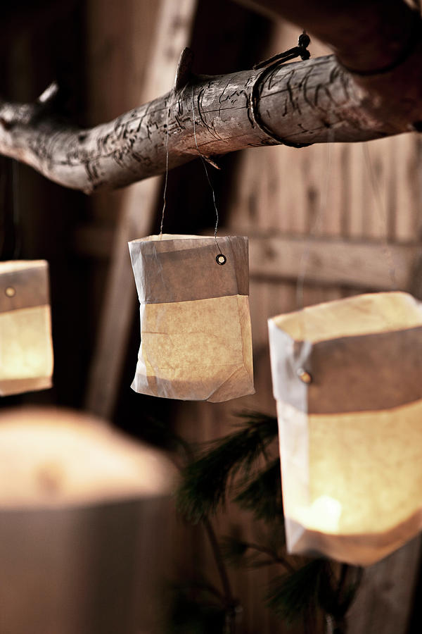 Small Paper Candle Lanterns Hung From Branch Photograph by Lykke Foged & Morten Holtum