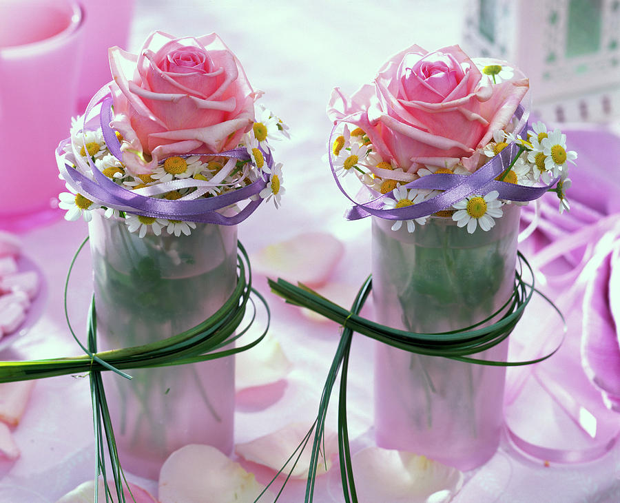 Small Pink rose Bouquets And Matricaria chamomilla Photograph by Friedrich Strauss