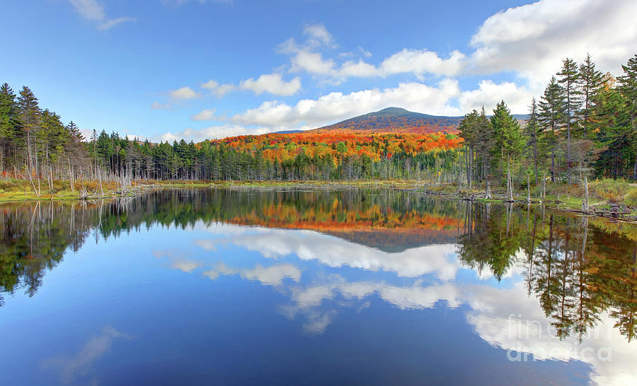 Small pond in the White Mountain National Forest Photograph by Denis ...