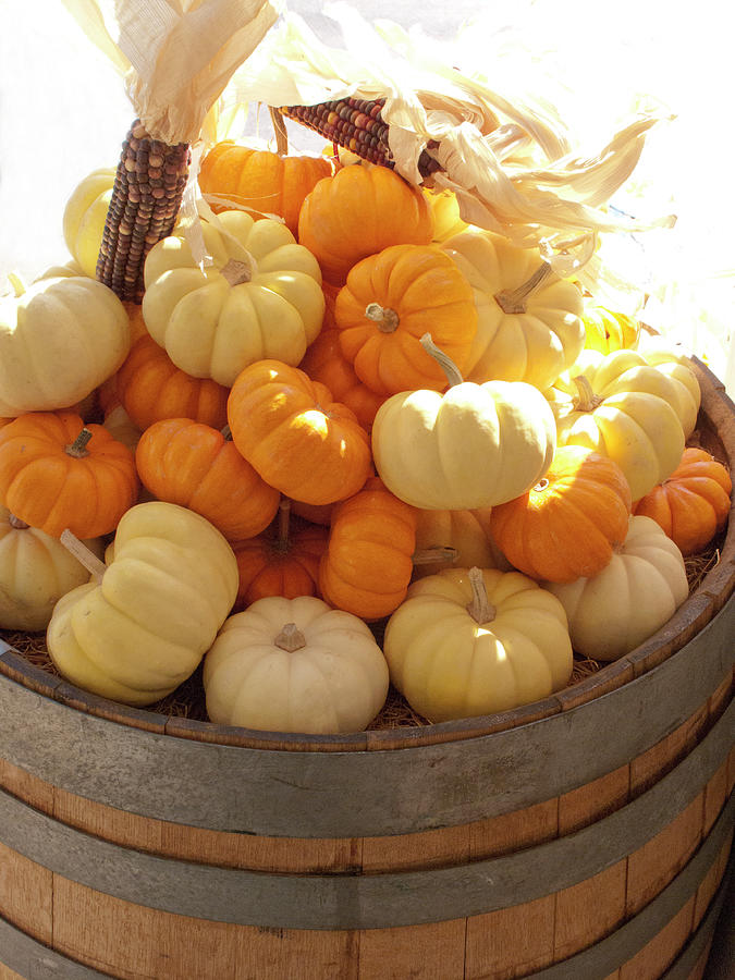 Small Pumpkins At A Farm Stand Photograph by Bill Boch