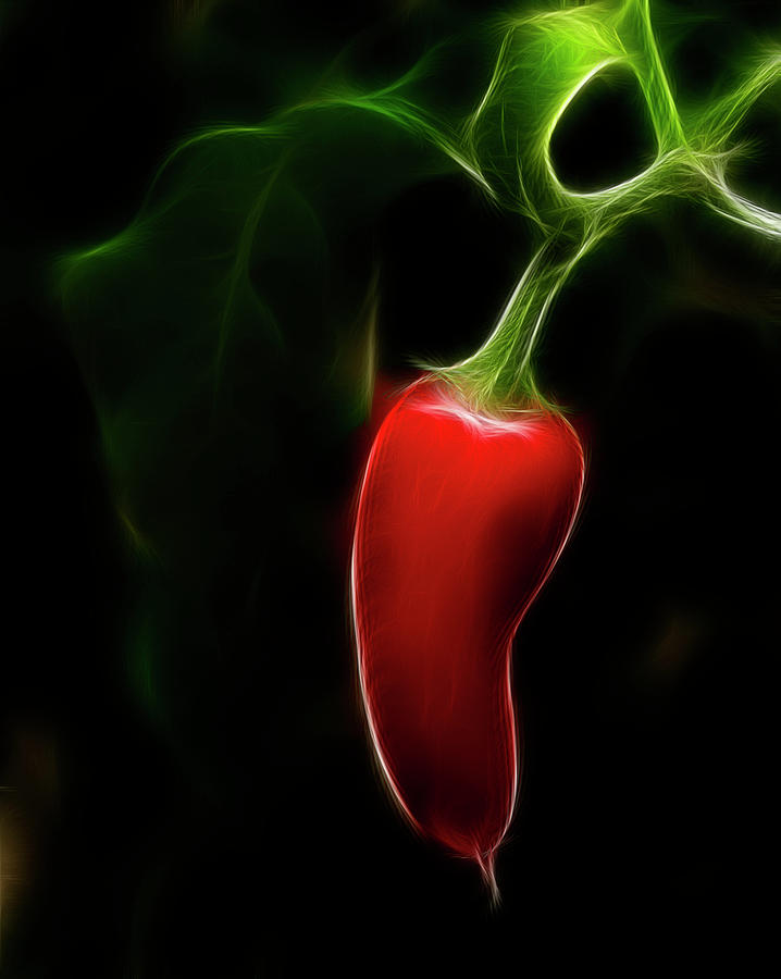 Small Red Chilli Art Photograph by Gareth Hudson