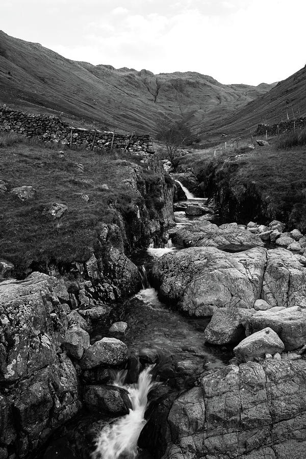 Small Stream  Photograph by Roy Pedersen