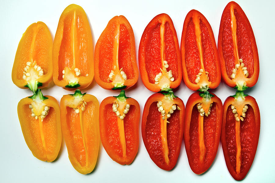 Small Sweet Peppers Photograph by Image By Catherine Macbride