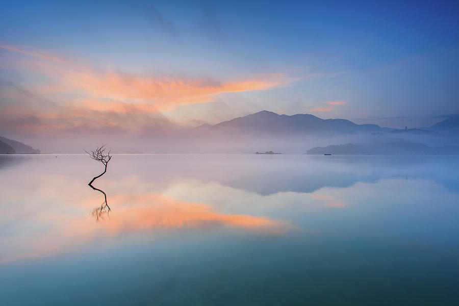 Small Tree In Lake Photograph by Samyaoo
