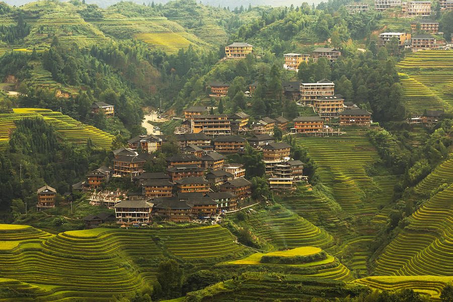 Landscape Photograph - Small Village In The Middle Of Rice Fields by Sally Widjaja