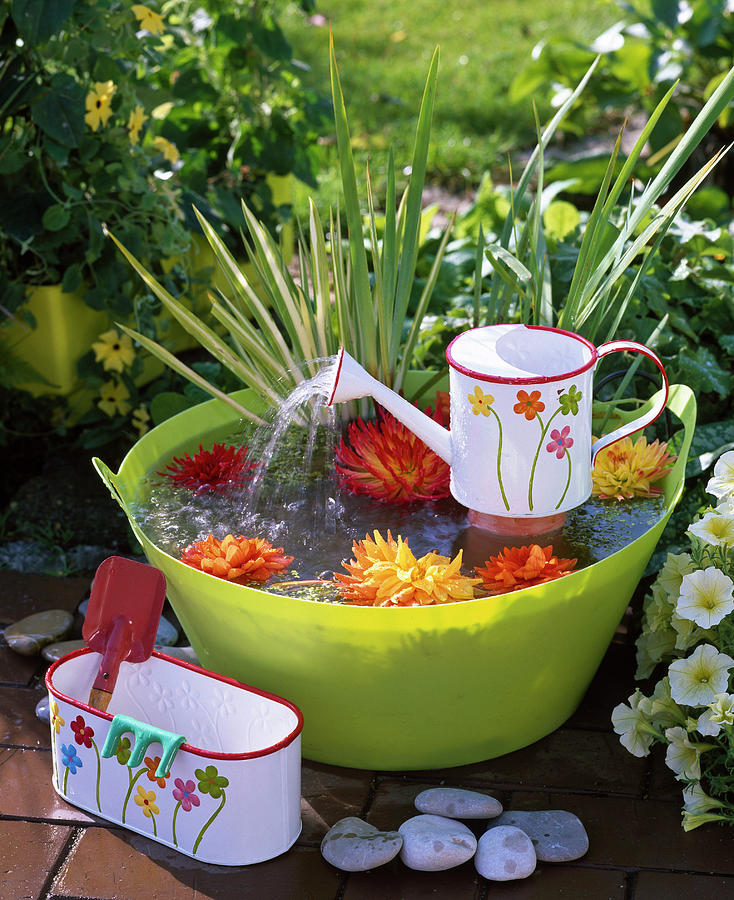 Small Water Feature With Mini Watering Can And Plastic Tub Photograph ...