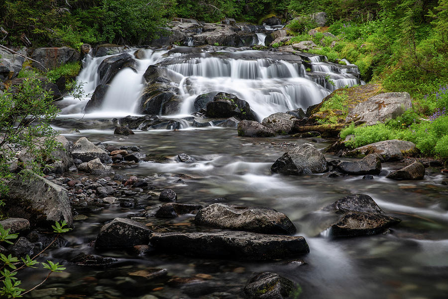Small Waterfall in Mount Rainier Park - 1 Photograph by Alex Mironyuk