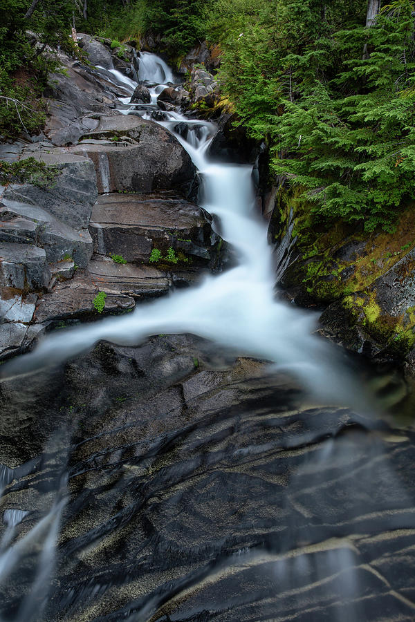 Small Waterfall in Mount Rainier Park Photograph by Alex Mironyuk