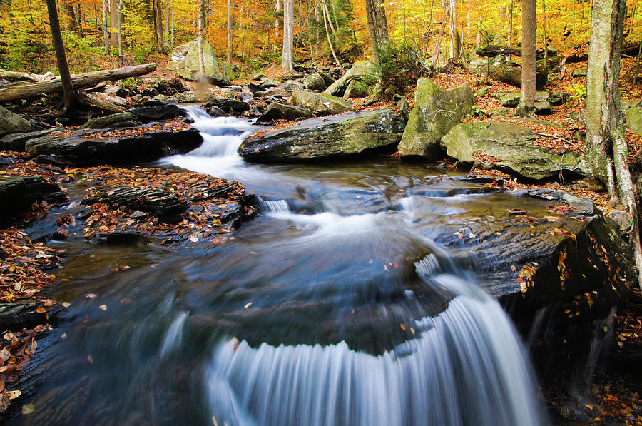 Small Waterfall In The Autumn Woods Photograph by Ogphoto