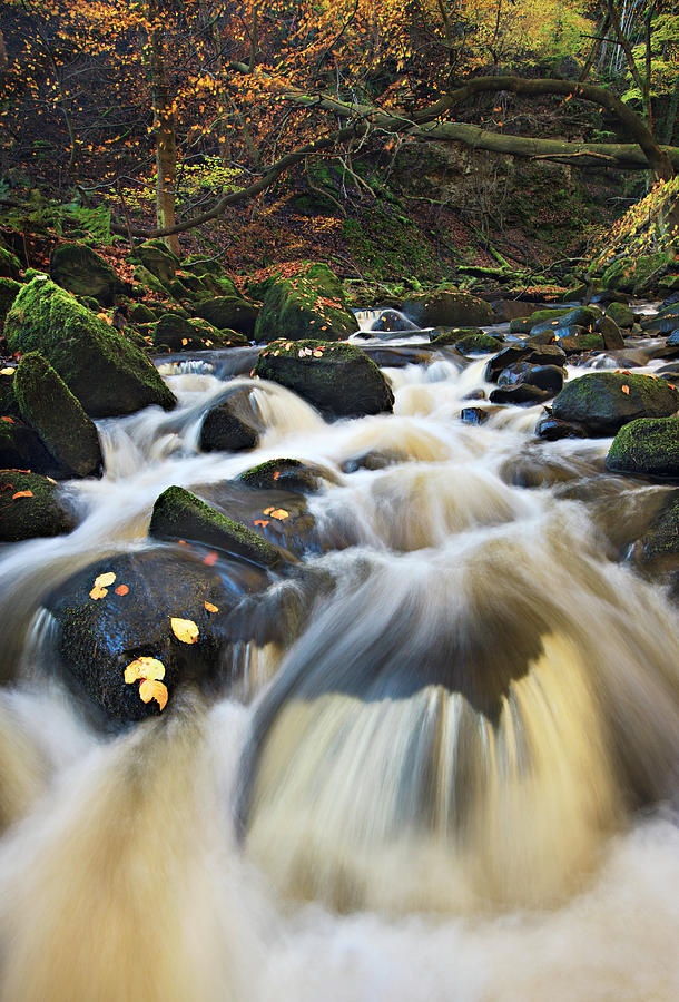 Small Waterfalls In Autumnall Woods Photograph by Simon Butterworth