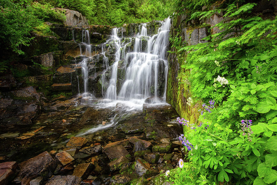 Small Waterfalls in Mount Rainier Park - 3 Photograph by Alex Mironyuk