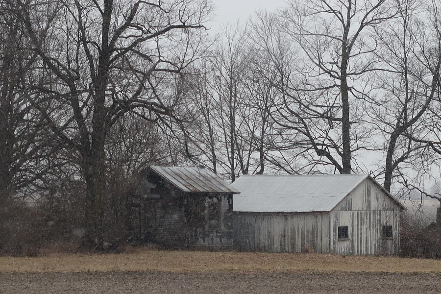 Small White Barn and Shed Photograph by Angela Scott | Pixels