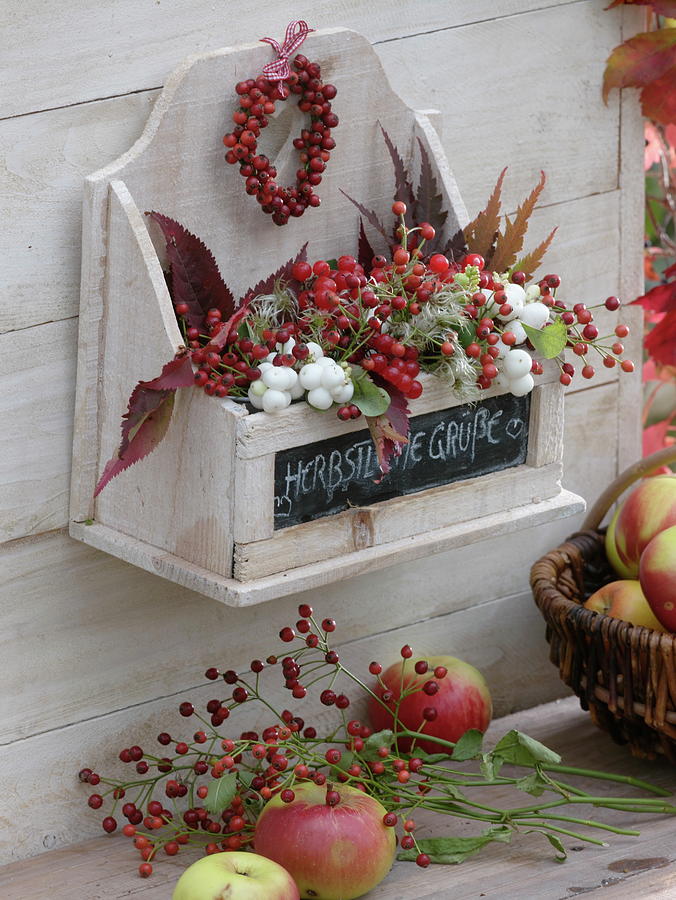 Small, White Wooden Shelf, Filled With Autumn Berries Photograph by Friedrich Strauss