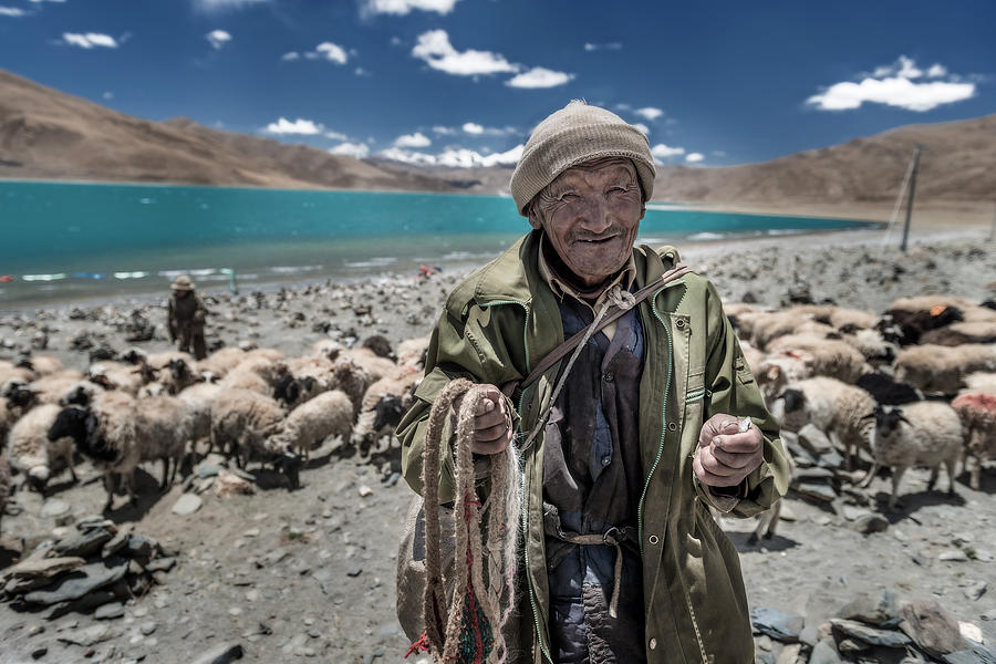 Sheep Photograph - Smile Shepherd (tibetan) by Sarawut Intarob