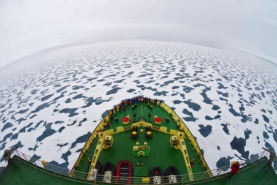 Smile! You\'re In The Arctic! Photograph by Vadim Balakin