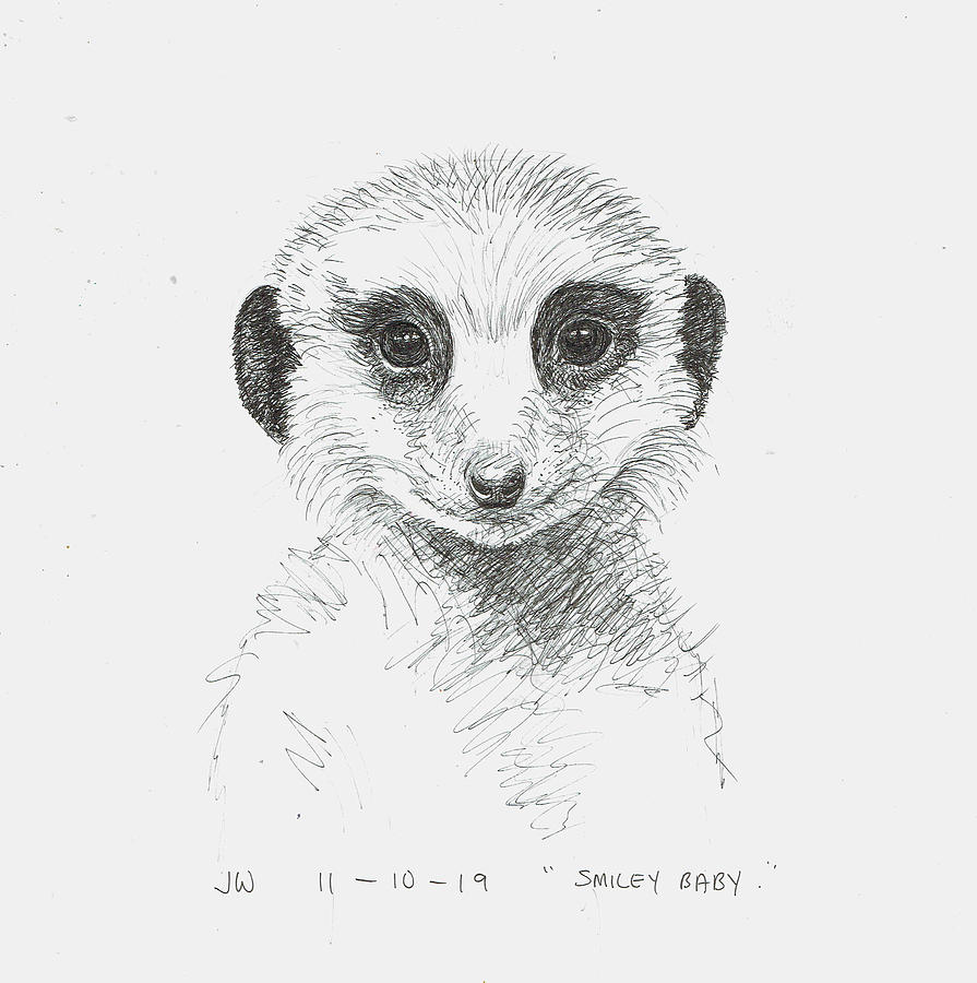 Smiley Baby Meerkat Drawing by June Walker | Pixels