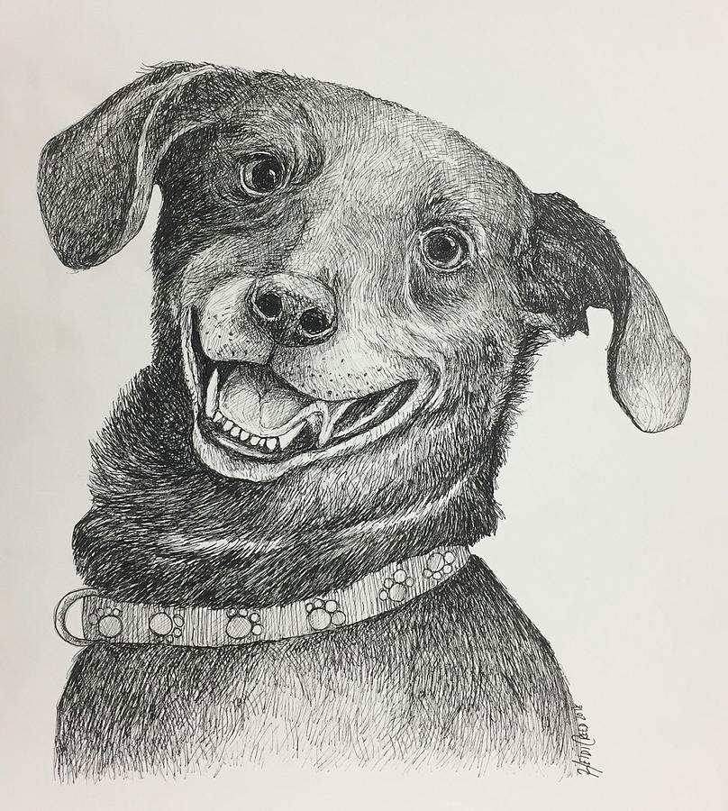 Smiling Dog Drawing | ubicaciondepersonas.cdmx.gob.mx