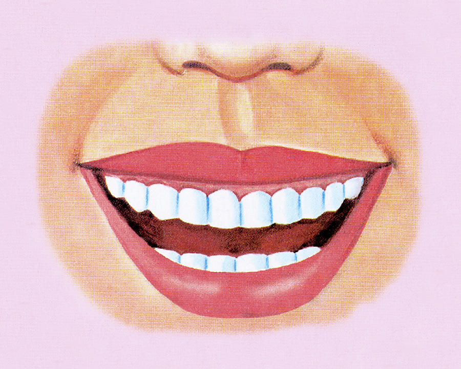Vintage Drawing - Smiling Mouth Showing Teeth by CSA Images