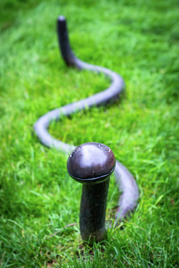 Smiling Snake Sculpture Photograph by Framing Places
