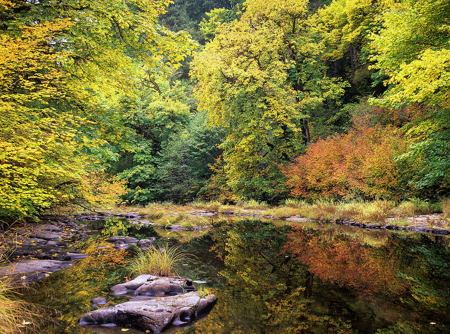 Smith River Autumn Photograph by Robert Potts