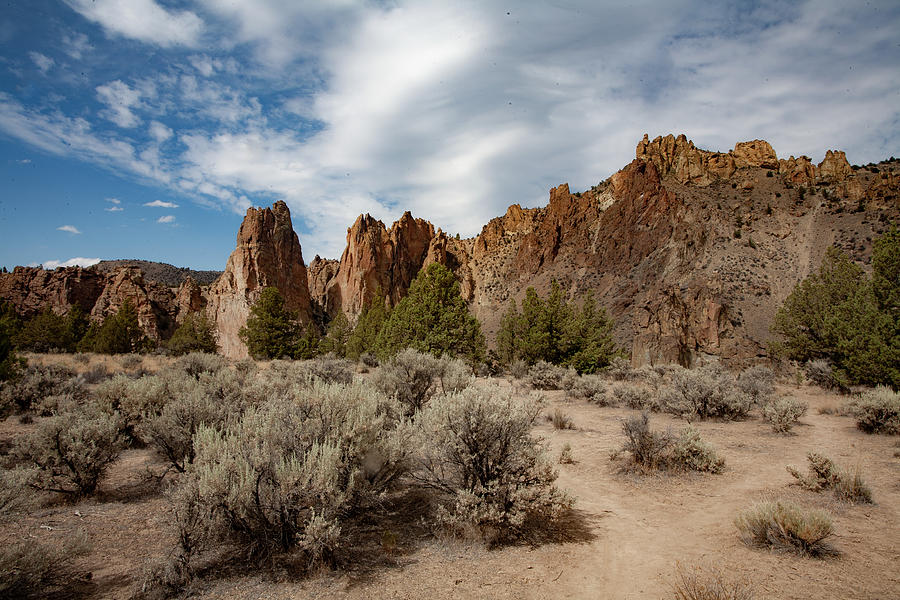 Smith Rock State Park Photograph by Bonnie Bruno
