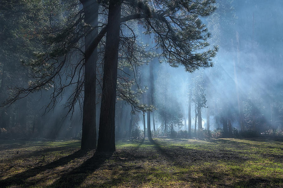 Smoke Of Controlled Fire In Yosemite Photograph by Aidong Ning