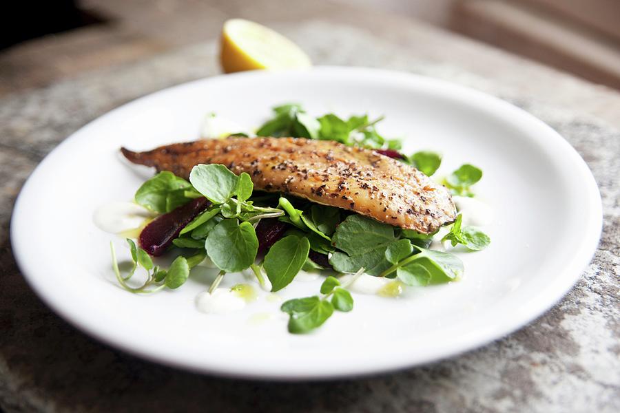 Smoked Mackerel Fillet With Pepper On A Watercress And Beetroot Salad With A Horseradish Dressing Photograph by George Blomfield