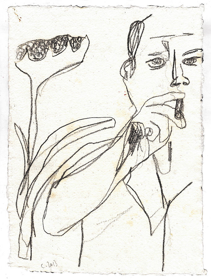 Smoker and Sunflower Pencil Drawing by Edgeworth Johnstone