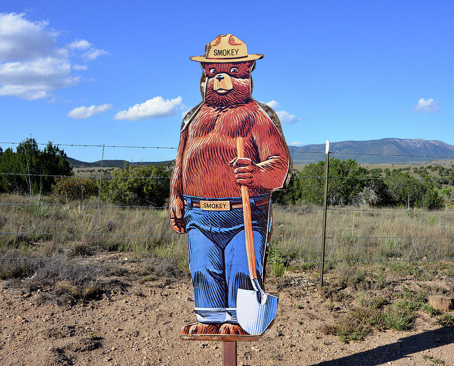 Smokey Bear Memorial Site Capitan New Mexico Photograph