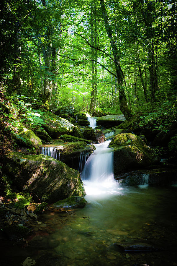 Smokey Mountain Tranquility Photograph by Randall Allen