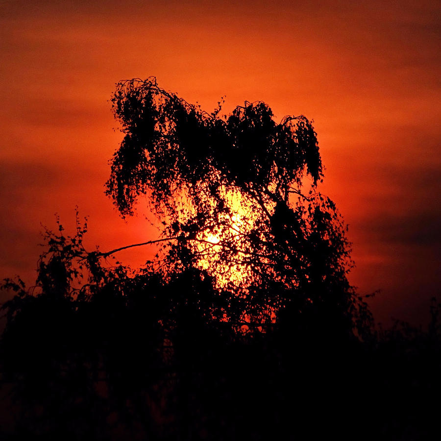 Smokey Sunset Photograph by Nick Kloepping